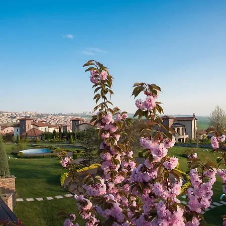 The Cherry Istanbul